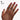 OPI Nail Lacquer Spring Collection